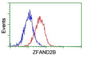 ZFAND2B Antibody (clone OTI3D6)