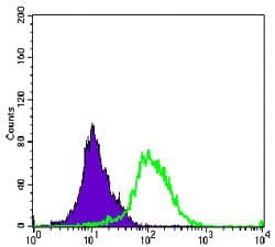 AURKA / Aurora-A Antibody (clone 1F8)