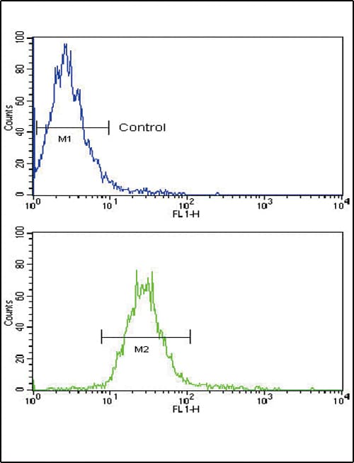 IHC-plus™ NRG1 / Heregulin / Neuregulin Antibody (aa198-229)