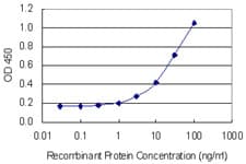 TCEA2 / TFIIS Antibody (clone 7E11)