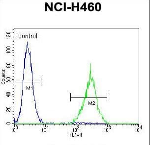 SOX1 Antibody (aa47-76)
