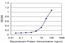 Monoclonal Mouse anti-Human C-TAK1 / MARK3 Antibody (clone 1A10, WB)