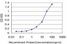 ELF3 / ESE1 Antibody (clone 1D8)