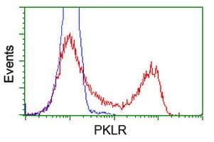 PKLR Antibody (clone OTI1F3)