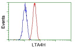 LTA4H / LTA4 Antibody (clone OTI7D11)