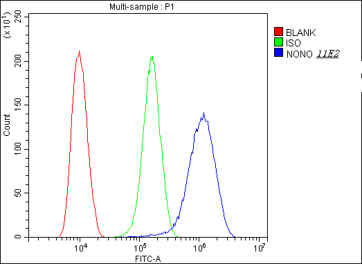 NONO / P54NRB Antibody