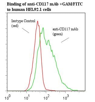 c-Kit / CD117 Antibody (clone 57A5, Azide-free)