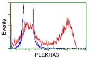 PLEKHA3 Antibody (clone OTI2D1, Carrier-free)