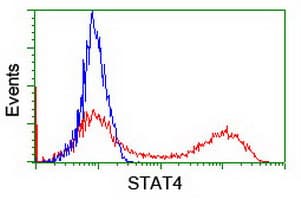 Monoclonal Mouse anti-Human STAT4 Antibody (clone OTI2F3, IHC, IF, WB)