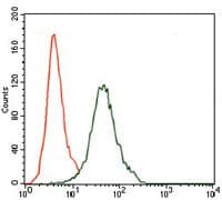 Monoclonal Mouse anti-Human CD5 Antibody (clone 6A11, Amino Acid: 27-233, WB)
