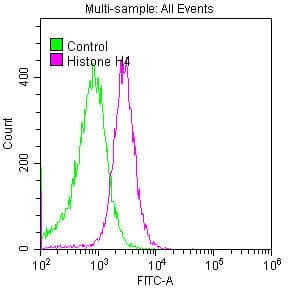 HIST1H4I Antibody