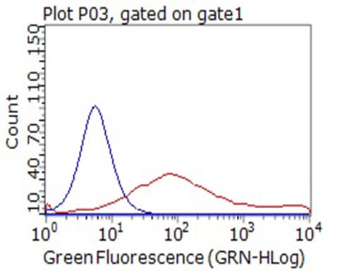 CD80 Antibody (clone OTI11G5)