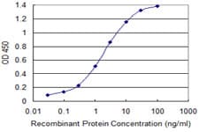 Monoclonal Mouse anti-Human FOXA3 Antibody (clone 1C6, WB)