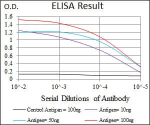Monoclonal Mouse anti-Human PLK1 / PLK-1 Antibody (clone 1D1, IF, WB)