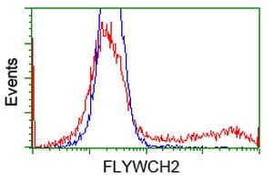 FLYWCH2 Antibody (clone OTI3G3, Carrier-free)