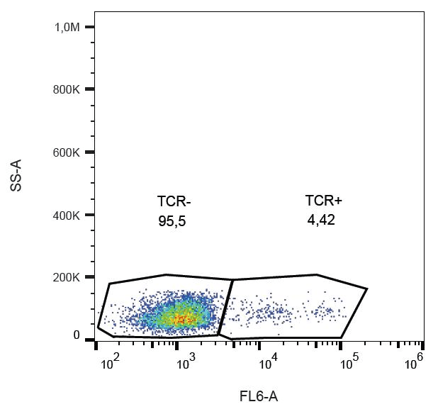 Monoclonal Mouse anti-Human TCR Gamma + TCR Delta Antibody (clone B1, IHC)