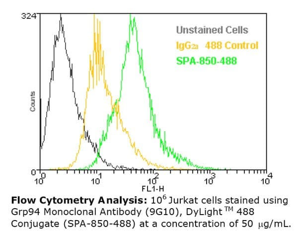 HSP90B1 / GP96 / GRP94 Antibody (clone 9G10, DY488)