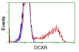 DCXR Antibody (clone OTI4H10, Carrier-free)