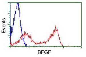 FGF2 / Basic FGF Antibody (clone OTI3D10)