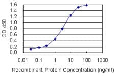 Monoclonal Mouse anti-Human CD72 Antibody (clone 4D10, WB)