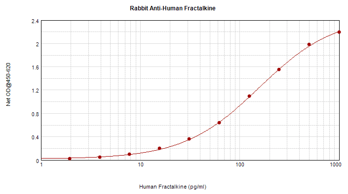 CX3CL1 / Fractalkine Antibody