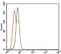 ZRP-1 / TRIP6 Antibody (Amino Acid: 107-291, clone 6H4)