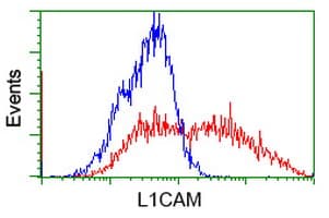 Monoclonal Mouse anti-Human L1CAM Antibody (clone OTI2H6, IHC, IF, WB)
