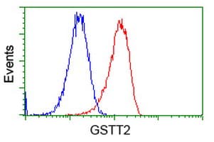 GSTT2 Antibody (clone OTI2E3)