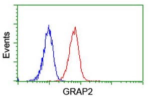 GRAP2 / GRID Antibody (clone OTI1G2)