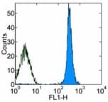 Monoclonal Mouse anti-Mouse CD45.1 Antibody (clone A20, FITC)