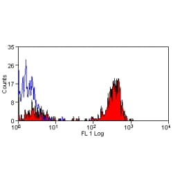 Monoclonal Rat anti-Mouse CD36 Antibody (clone MF3, FITC)