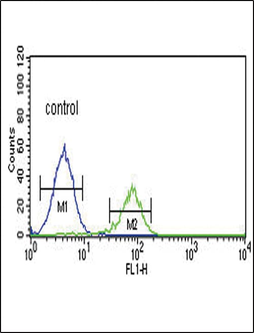 PCSK2 Antibody (aa87-116)