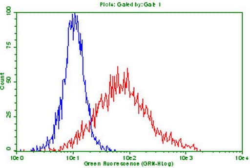 PD-L2 / PDCD1LG2 / CD273 Antibody (clone UMAB224)