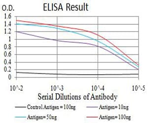 TFAP2A / AP-2 Antibody (clone 2H9F12)