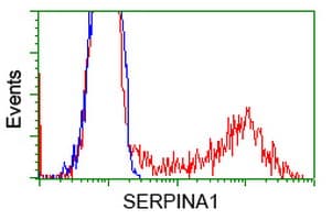 IHC-plus™ Monoclonal Mouse anti-Human SERPINA1 / Alpha 1 Antitrypsin Antibody (clone 1C2, IHC, IF, WB)