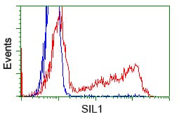 BAP / SIL1 Antibody (clone OTI3E3)