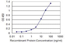 PAK2 Antibody (clone 1E1)