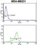 AGPAT4 Antibody (aa176-202)