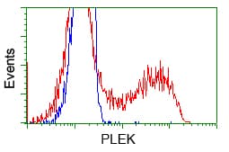 PLEK / Pleckstrin Antibody (clone OTI4F10, Carrier-free)