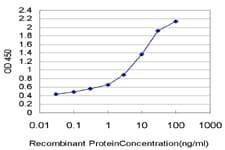 PDE3B Antibody (clone 4A4)