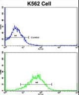 SFRP5 Antibody (aa219-248)