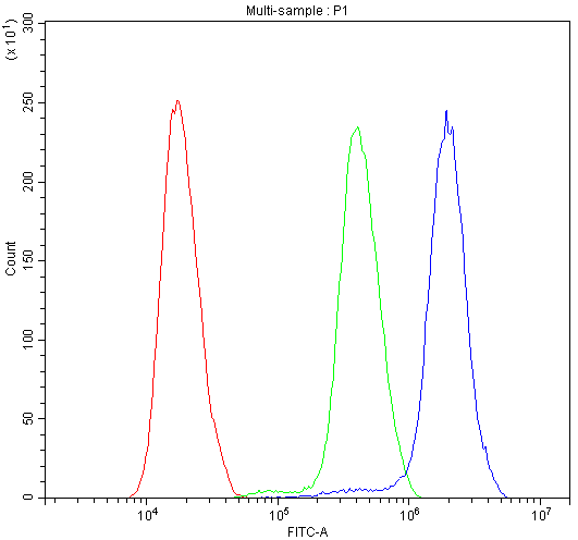 ATF1 Antibody (aa1-271)