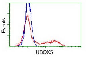 UBOX5 Antibody (aa1-130, clone OTI 4C1, Carrier-free)