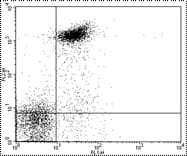 CD16 + CD32 Antibody (clone 93, FITC)