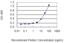 PathPlus™ MPO / Myeloperoxidase Antibody (clone 3E11)