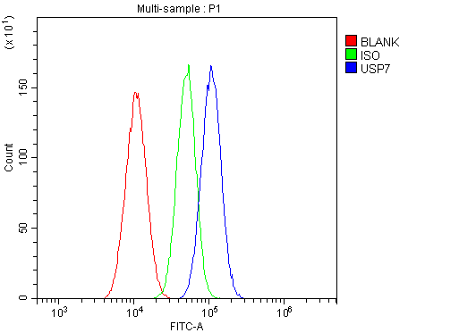 USP7 / HAUSP Antibody