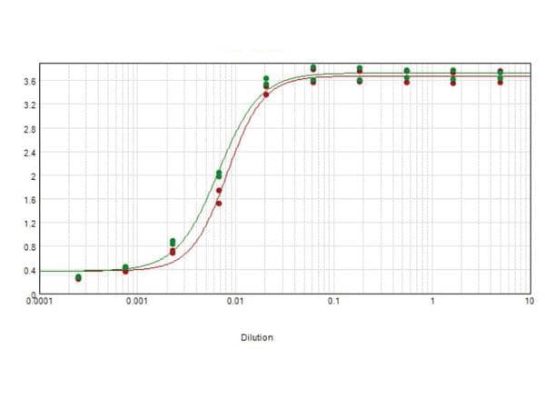 Goat Anti-Rat IgG Fc Secondary Antibody (Biotin)
