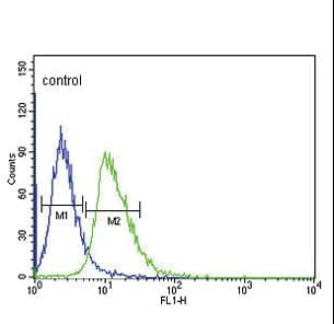 DRD4 / Dopamine Receptor D4 Antibody (aa365-391)