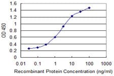 PSCA Antibody (clone 1E1)