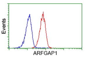 ARFGAP1 Antibody (clone OTI2C5)